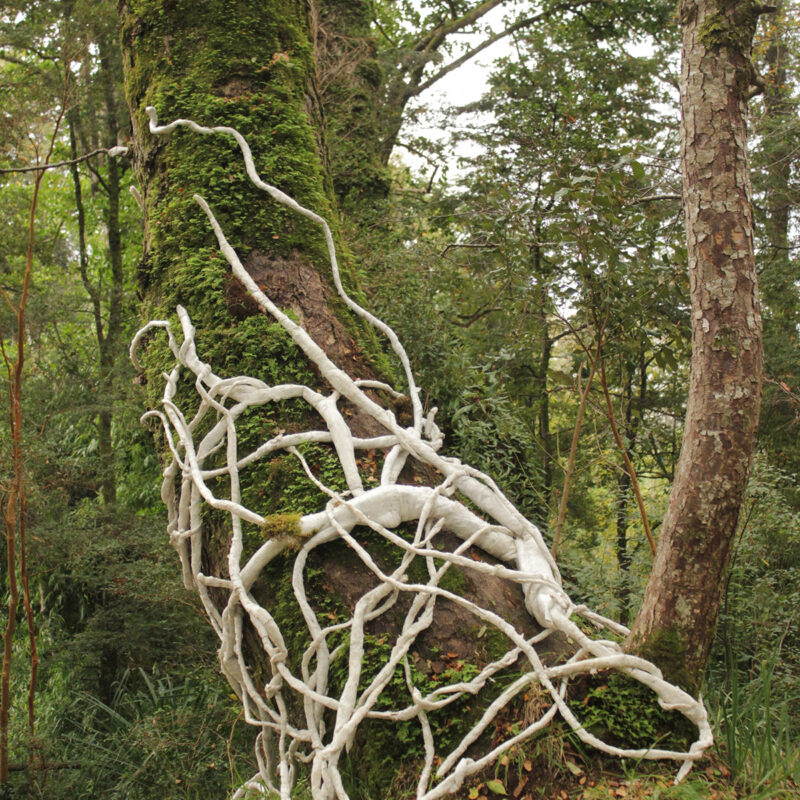 3ed1c8143306937.6279ca93394a9